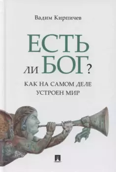 Есть ли Бог? Как на самом деле устроен мир. Исследование