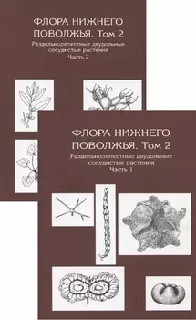 Флора Нижнего Поволжья. Том 2. В друх частях (комплект из 2 книг)