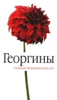 Георгины
