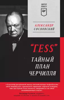 " ГESS" Тайный план Черчилля (Питер покет)