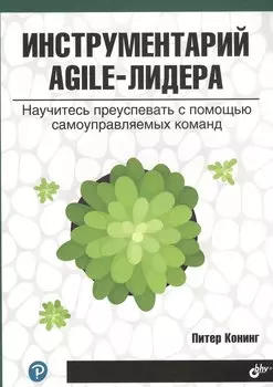 Инструментарий agile-лидера. Научитесь преуспевать с помощью самоуправляемых команд