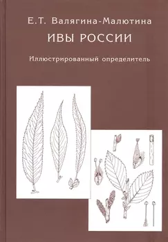 Ивы России. Иллюстрированный определитель