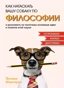 Как натаскать вашу собаку по ФИЛОСОФИИ и разложить по полочкам основные идеи и понятия этой науки