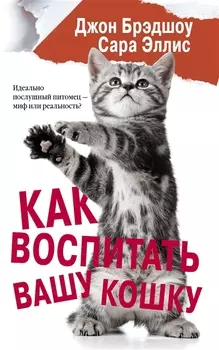 Как воспитать вашу кошку