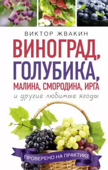 Как вырастить виноград и другие любие ягоды. Простые и понятные инструкции для начинащих. Виноград, голубика, малина, смородина, ирга и другие любимые ягоды