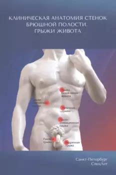 Клиническая анатомия стенок брюшной полости. Грыжи живота