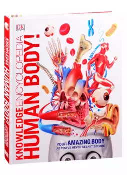 Knowledge Encyclopedia Human Body!
