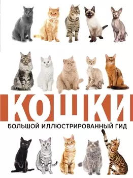 Кошки. Большой иллюстрированный гид