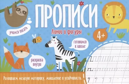 Линии и фигуры. Прописи