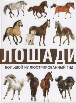 Лошади
