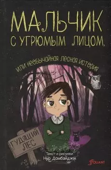 Мальчик с угрюмым лицом или необычайная лесная история (Домбайджи)