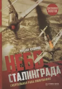 Небо Сталинграда. Смертельная рана люфтваффе