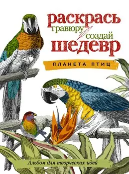 Планета птиц