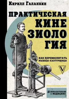 Практическая кинезиология: как перевоспитать мышцы-халтурщицы