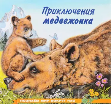 Приключения медвежонка