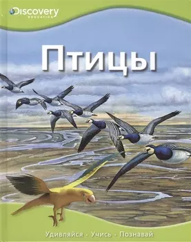 Птицы