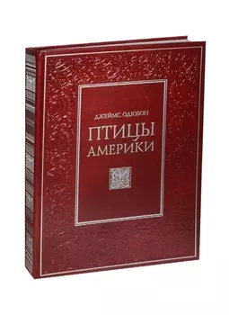 Птицы Америки