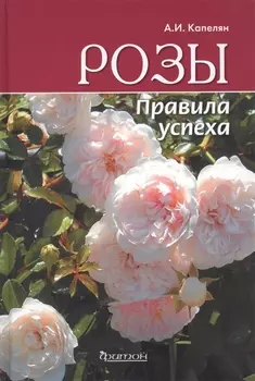 Розы Правила успеха