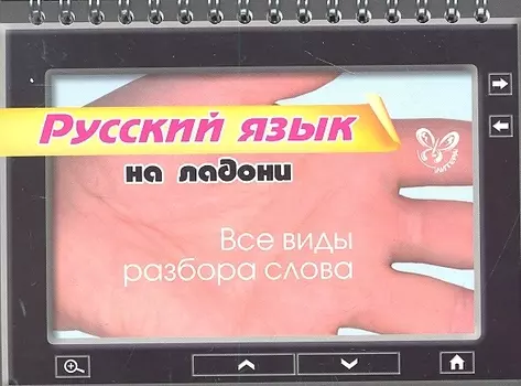 Русский язык Все виды разбора слова