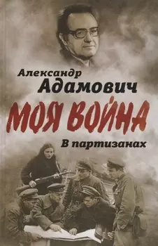 В партизанах