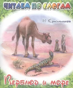 Верблюд и море
