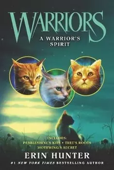 Warriors A Warrior s Spirit