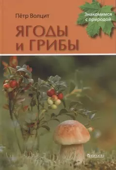 Ягоды и грибы