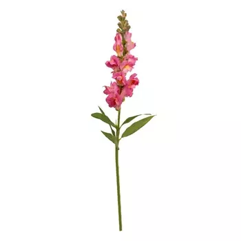 Антирринум декоративный 60 см Азалия розовый