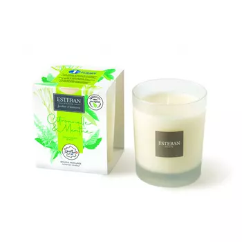 Аромасвеча 170 г Лемонграсс и Мята Esteban