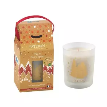 Аромасвеча 180 г Esteban Имбирные лакомства