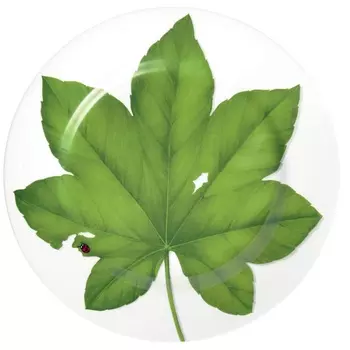 Блюдо 31,5 см Taitu Freedom Leaf