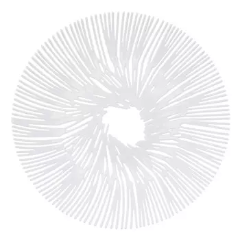 Блюдо для фруктов Anemone белое