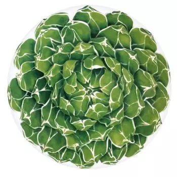 Блюдо сервировочное 31 см Taitu Cactus