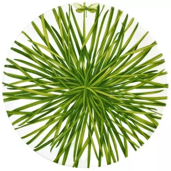 Блюдо сервировочное 31 см Taitu Life in Green