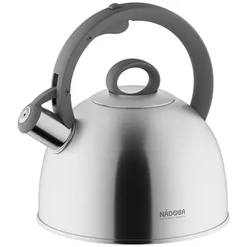 Чайник со свистком 2,9 л Nadoba Sandra