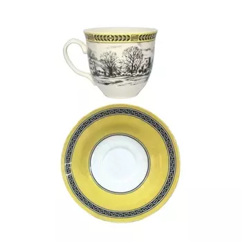 Чашка с блюдцем 200 мл Grace by Tudor England Halcyon