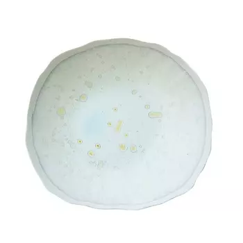 Десертная тарелка 22 см Jars Plume