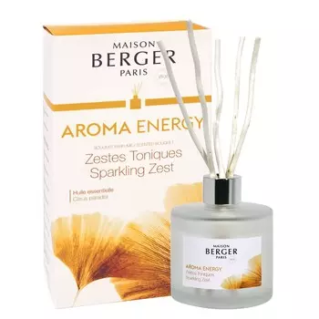 Диффузор ароматический 180 мл Maison Berger Энергия