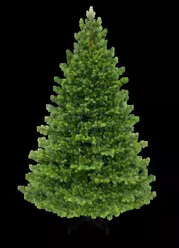 Ель городская 155 см Black Box зелёная