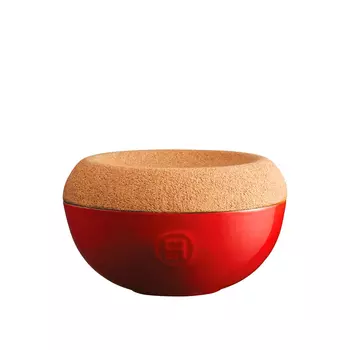 Ёмкость для хранения соли Emile Henry красный