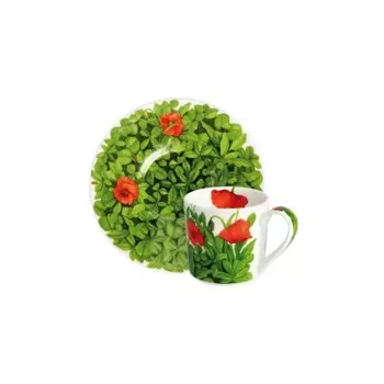 Кофейная пара 100 мл Taitu Prati Italiani красный