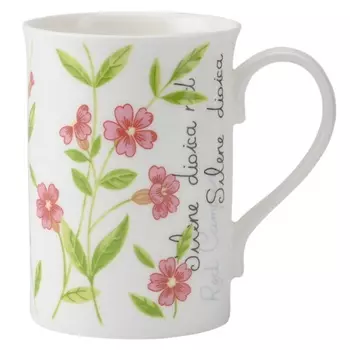 Кружка 300 мл Price&amp;Kensington Botanic розовый