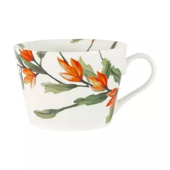 Кружка 480 мл Монтбреция Home &amp; Style