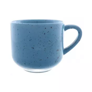 Кружка фарфоровая Repast Lifestyle Articblue 400 мл
