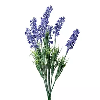 Лаванда декоративная на вставке 30 см Азалия сиреневый