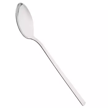 Ложка десертная 18 см Pintinox Synthesis