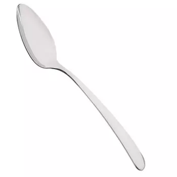 Ложка столовая 21 см Pintinox Savoy