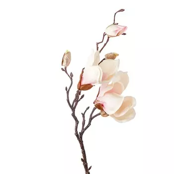 Магнолия декоративная 50 см Азалия кремовый