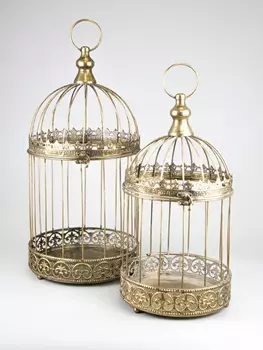 Набор клеток 25 x 52 см Азалия золотой 2 шт