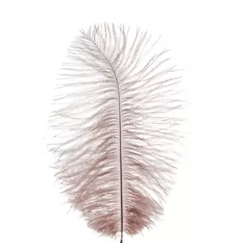 Набор перьев страуса 20-25 см Азалия кофейный 10 шт.
